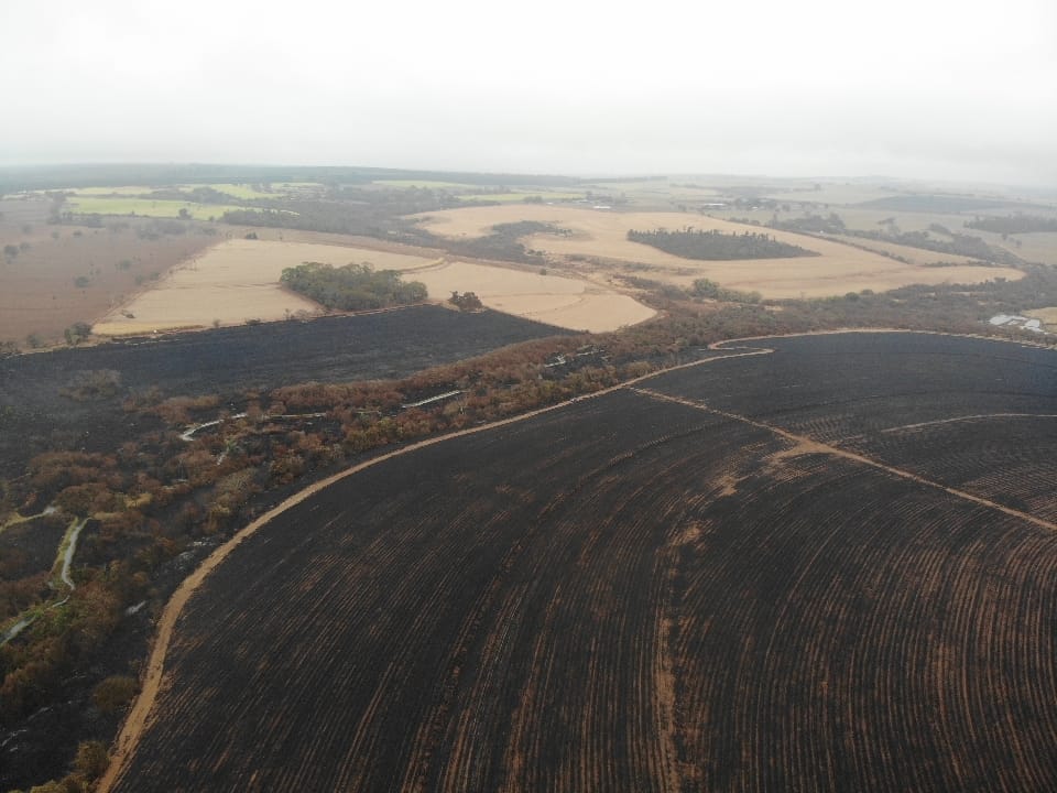 Foto 4 de 8 — Empresa é autuada em mais de R$ 1,4 milhão após queimada destruir área em Matão